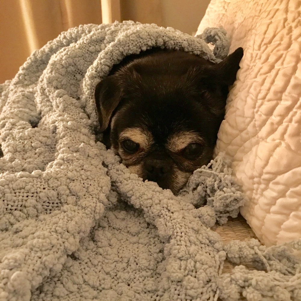 Meet your Posher, Daniela